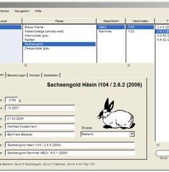 windows98