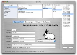 qniculusscreen